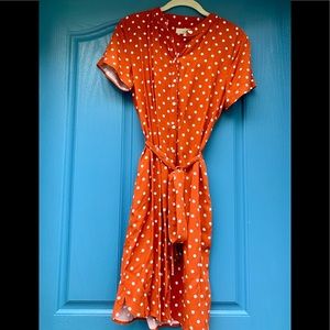 LOFT Dress NWT